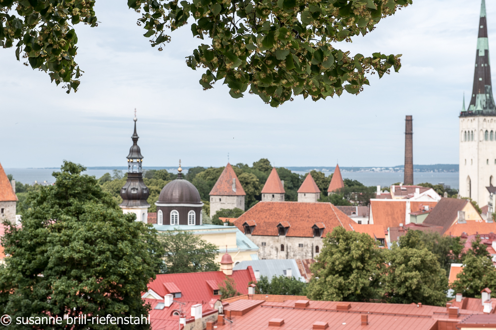 Tallinn (Reval)/ Blick von der Stadtmauer